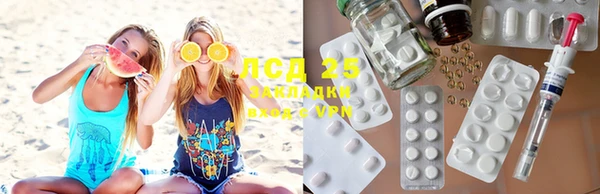 соль ск Богданович