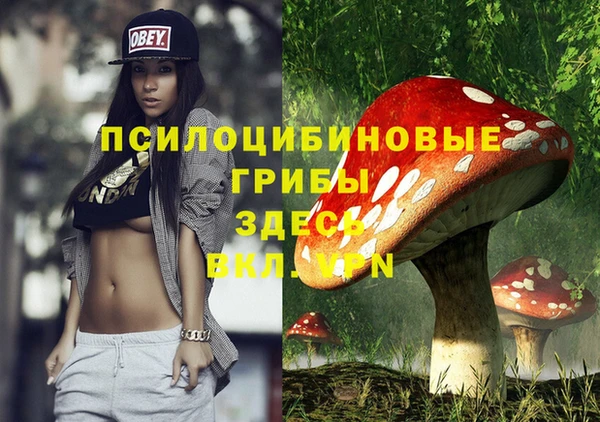 прущая мука Богородск