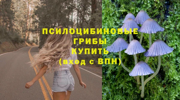 эйфоретик Богородицк