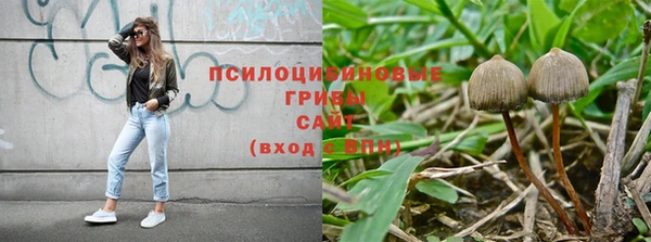 прущая мука Богородск