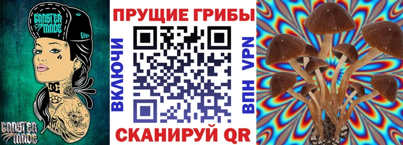 Псилоцибиновые грибы Cubensis  Топки 